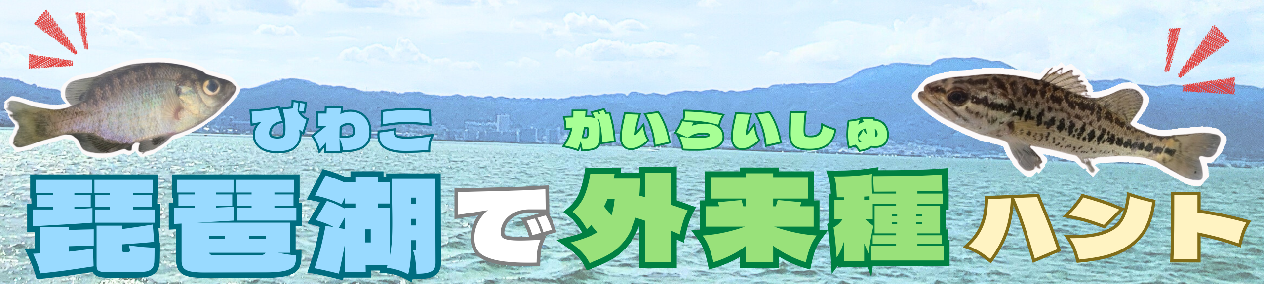 生物系YouTuberと琵琶湖で外来種ハントツアー「琵琶湖ガサガサ体験記」
